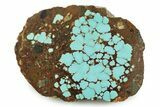 Polished Turquoise Slab - Number Mine, Carlin, NV #245502-1
